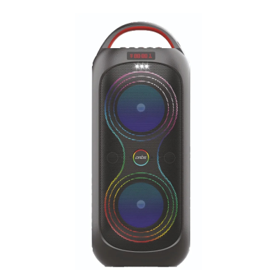 Artis - MS309 Wireless BT Party Speaker